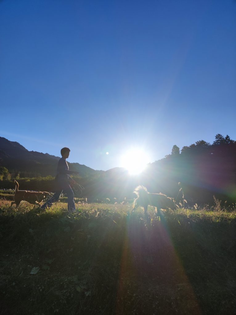 画像に alt 属性が指定されていません。ファイル名: IMG_20221019_161214-766x1024.jpg